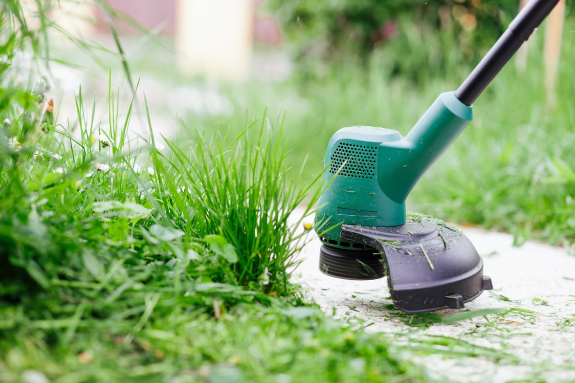 Mowing high grass with electric trimmer. Lawn care concept